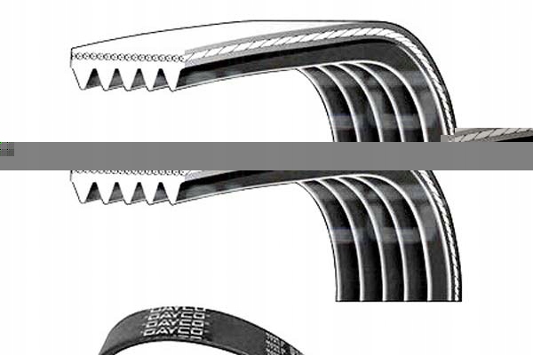 DAYCO 5PK1375 COURROIE EN V MULTICANAL