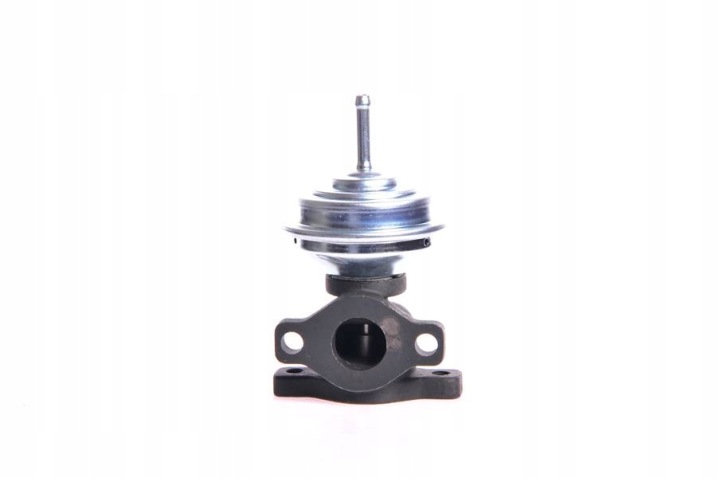 VANNE EGR AUDI FORD SEAT VW 1.9D SKV