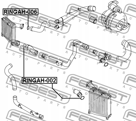 FEBEST BAGUE D'ÉTANCHÉITÉ KROCCA POWIETRZN AUDI A3 S3 SPORTB.