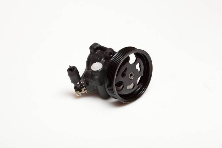 ESEN SKV POMPE AMPLI FORD FIESTA/KA 1.25/1.3