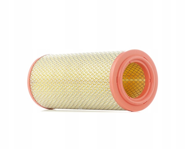 RIDEX 8A0198 FILTRE AIR