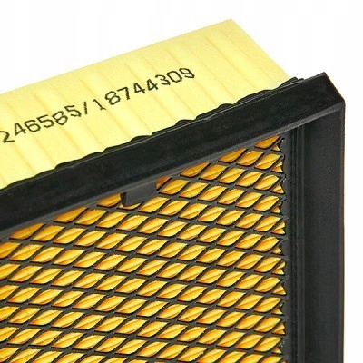 FILTRE AIR RIDEX 8A0169P