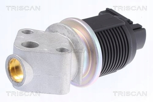 VANNE EGR VW 1,4 16V 8813 29009