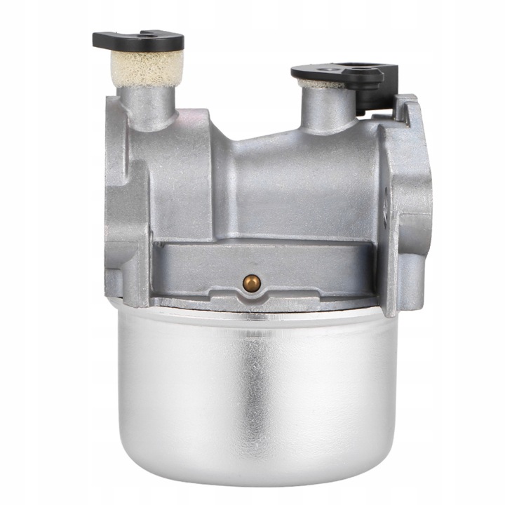 WEGLOWODANOW POUR BRIGGS STRATTON 799871 790845 799866 796707 794304