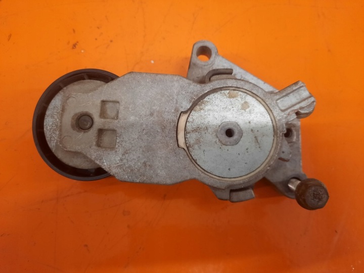 CITROEN C2 1.4 HDI 03-08 TENDEUR COURROIE ALTERNATEUR 419484 419484