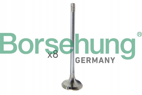 BORSEHUNG B10322 SOUPAPE ADMISSION