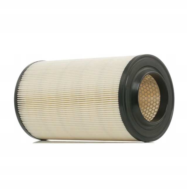 RIDEX 8A0099 FILTRE AIR