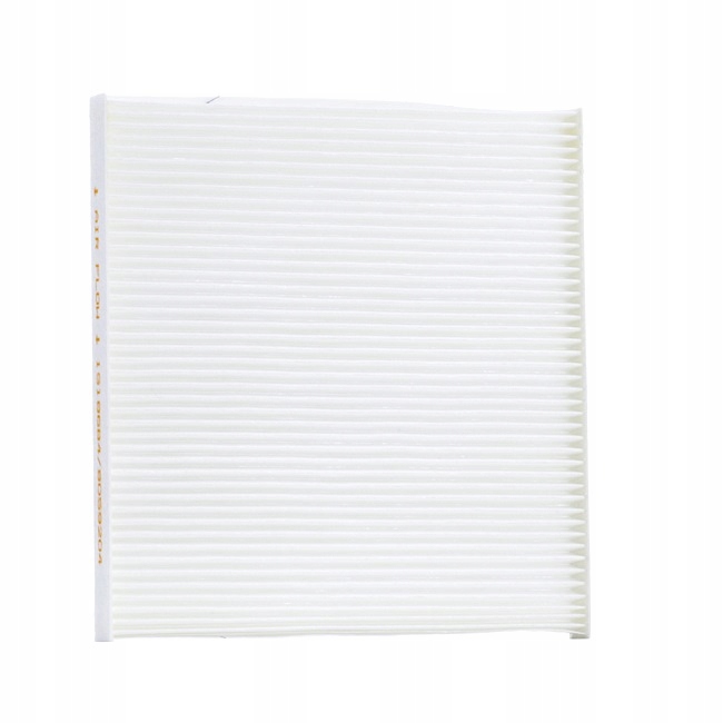 RIDEX 424I0153 FILTRE VENTILATION ESPACES PASAZERSKIEJ FILTRE PARTICULES