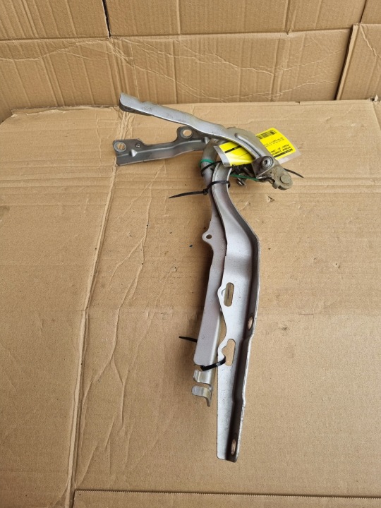 CHARNIÈRE CAPOTS GAUCHE PEUGEOT 207 9650866980