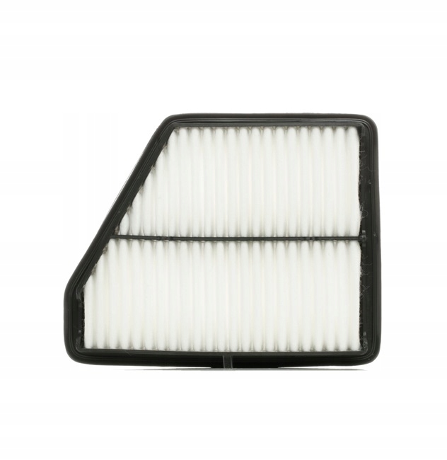 RIDEX 8A0217 FILTRE AIR VERS HYUNDAI MATRIX (FC) FILTRE AIR
