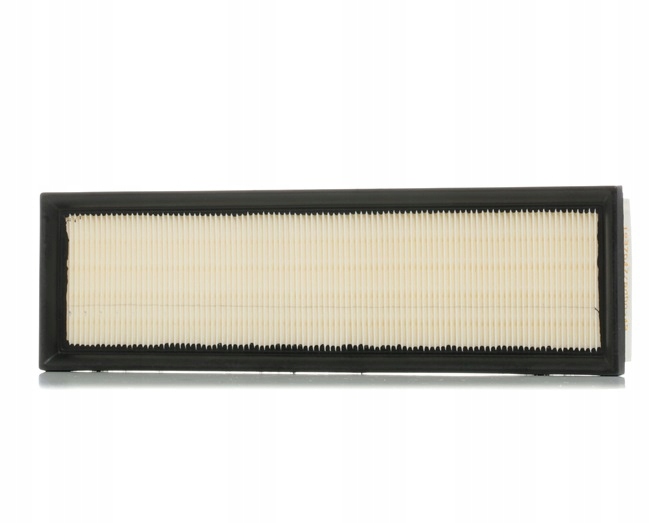 RIDEX 8A0247 FILTRE AIR