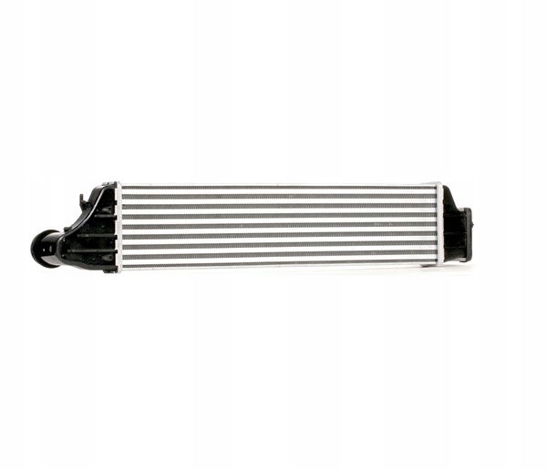 RIDEX 468I0025 ÉCHANGEUR AIR-AIR VERS BMW 3 LIMOUSINE (E46) 3 TOURING (E46)