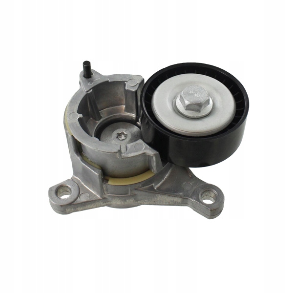 SKF VKM 33019 ROLLO NAPINAJACA CITROEN 