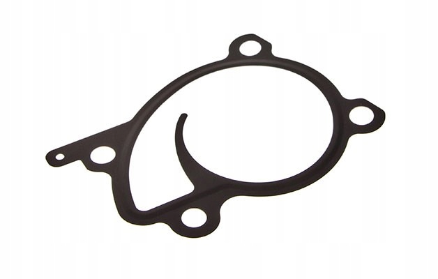 JOINT D'ÉTANCHÉITÉ POMPES À EAU RENAULT MEGANE 1.2- 1.4 09-