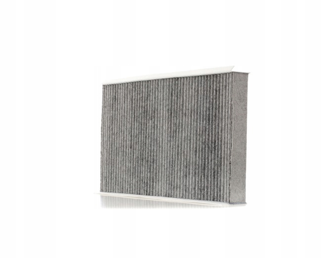 RIDEX 424I0248 FILTRE VENTILATION ESPACES PASAZERSKIEJ FILTRE AVEC WEGLEM