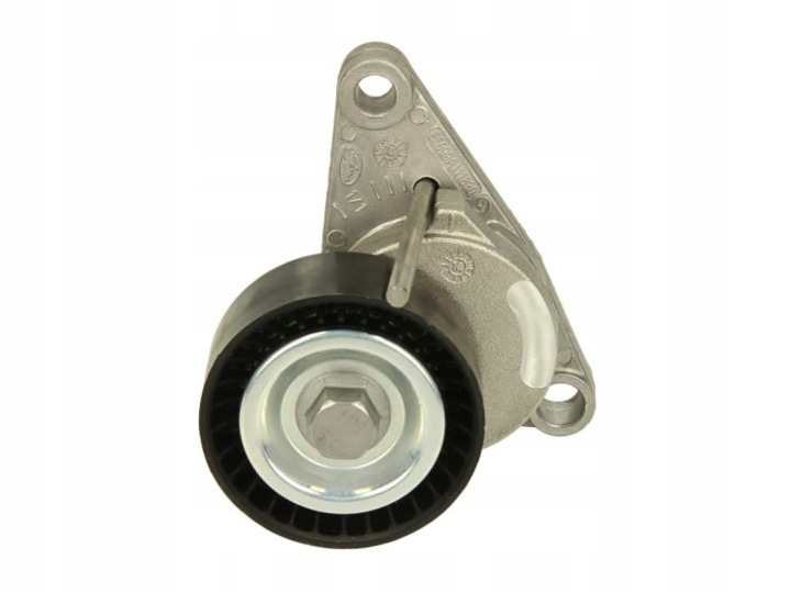 GA359.15 GALET GUIDE CITROEN