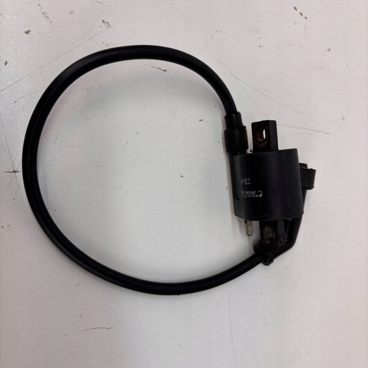 BOBINE ALLUMAGE YAMAHA RAPTOR 700 4DN-82320-01-00