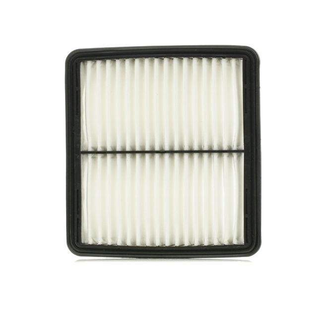 RIDEX 8A0244 FILTRE AIR