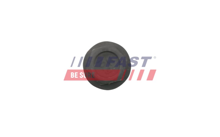 VIS BIELLE FT51652 FAST VIS BIELLE