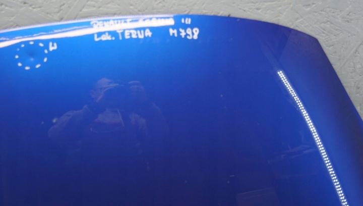 RENAULT SCENIC III CAPOT COUVERCLE MOTEUR TERNA (M798)