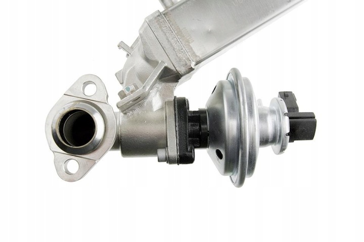 NTY EGR-BM-011A SOUPAPE AGR