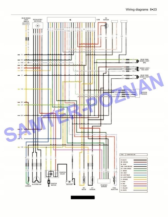 DUCATI 600 750 900 2-VALVE V-TWINS (1991-2005 MANUAL REPARACIÓN +GRATIS 24H 