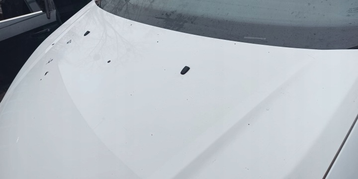 CAPOT BLANCHE F7 FORD S-MAX MK1 LIFT 10-14