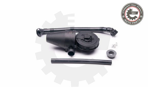 ESEN SKV SOUPAPE ODPOWIETRZANIE BOÎTES BIELLE KIT BMW AUTOZEN #42