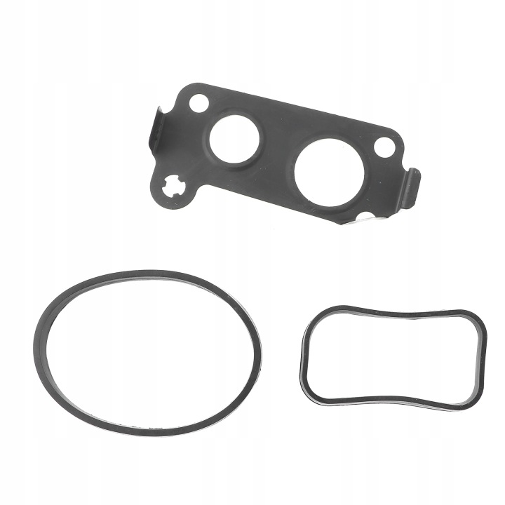 KIT COLLECTEURS D'ADMISSION 6110903637 6110902337 6110901337 CONVIENT EG