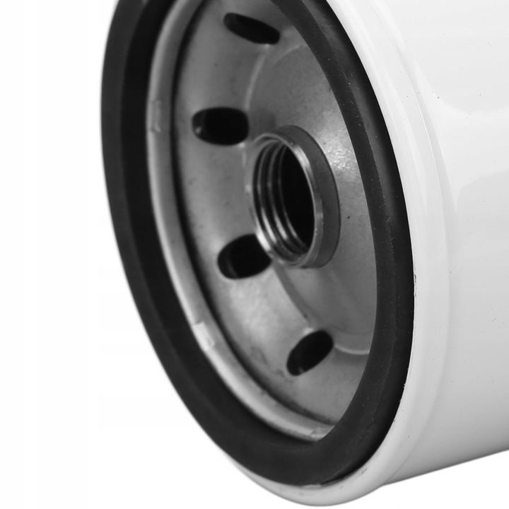 FILTRE CARBURANTS DONALDSON P551039 6667352