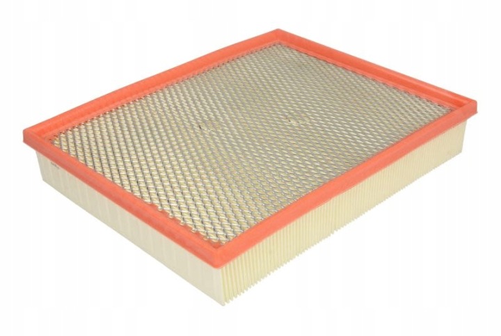 FILTRE AIR FILTRON AP156/2 C30039 FORD