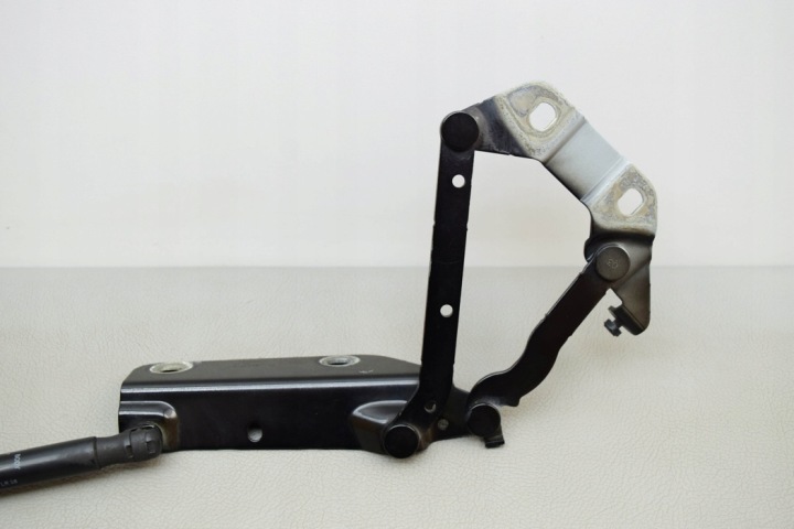 GAUCHE CHARNIÈRE CAPOTS LAND ROVER RANGE ROVER EVOQUE (L538) 6H5216801AC 2.0L