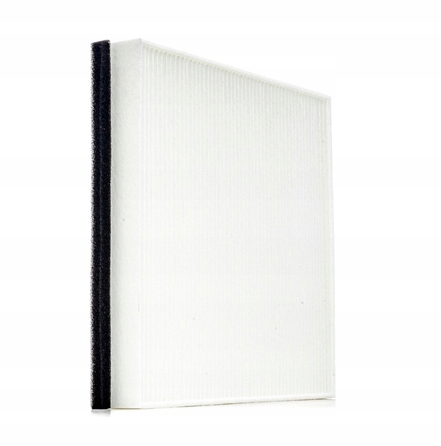 RIDEX 424I0029 FILTRE VENTILATION ESPACES PASAZERSKIEJ FILTRE
