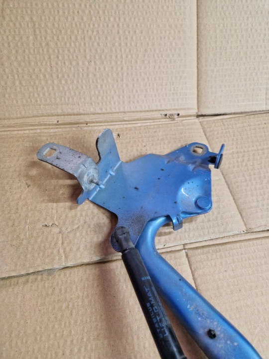 RENAULT SCENIC III LIFT CHARNIÈRES CAPOTS DROIT GAUCHE AVANT ENSEMBLE TERPB