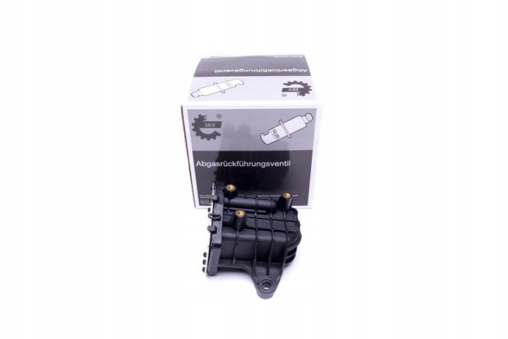SKV ALLEMAGNE 14SKV231 VANNE EGR