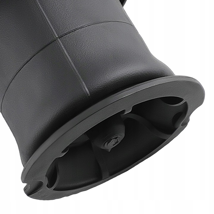 SAC PNEUMATIQUE ARRIÈRE SUSPENSIONS POUR CITROEN PICASSO C4 GRAND PICASSO