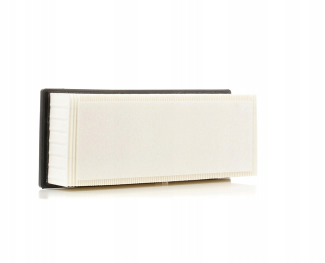 RIDEX 8A0061 FILTRE AIR