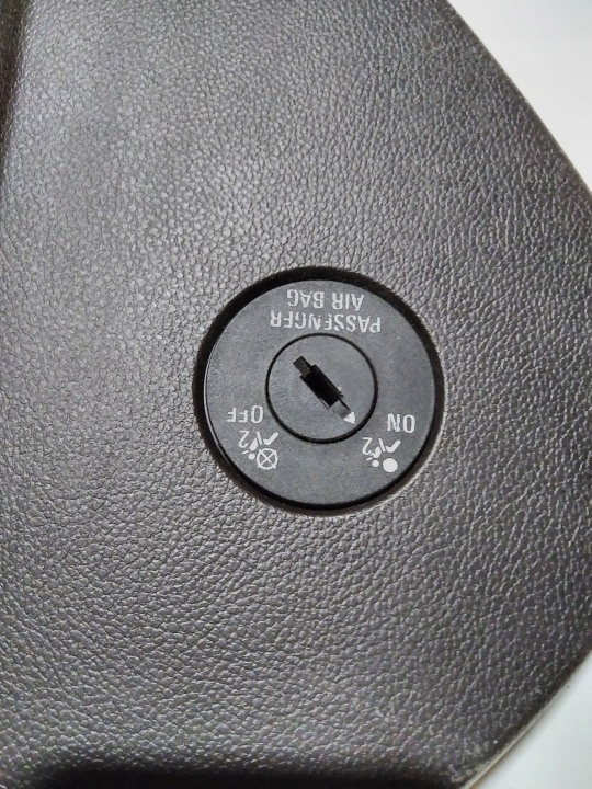 INSIGNIA PROTECTION BOUCHON CONSOLES TABLEAU DE BORD DROITE GAUCHE 13275265 13275267 COLLECTEUR