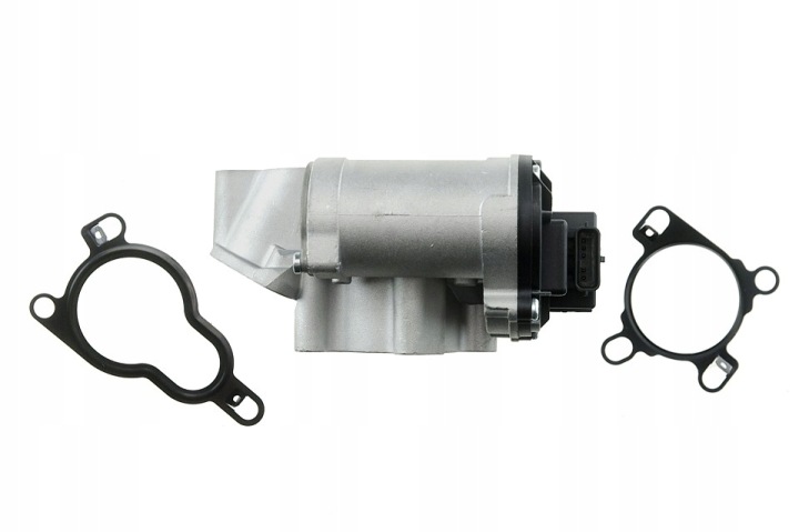 VANNE EGR RENAULT LAGUNA III 2.0DCI 08-, MEGANE II