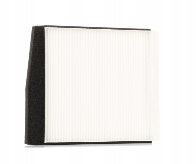 FILTRE BERLINE RIDEX 424I0025 VERS VOLVO V70 II (285) XC90 I (275) V70 I