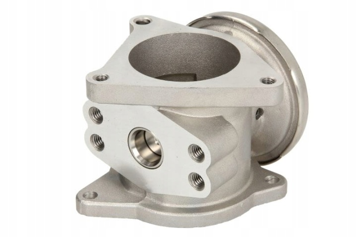 VANNE EGR AUDI/SEAT/SKODA/VW 03-10 2.0TDI 98173