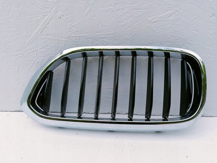 BMW 5 G30 G31 RÉSERVOIR GRILLE CALANDRE RADIATEUR DROITE GAUCHE 51138070469