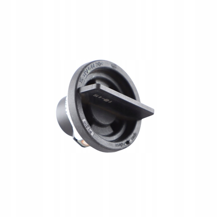 VW VOLKSWAGEN POLO 6R DOUILLE POIGNÉE AMPOULES CLIGNOTANT 1K6953123D