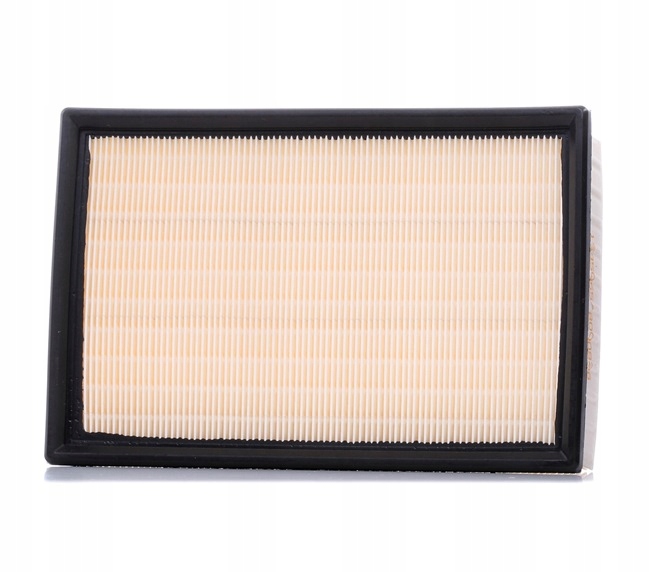 RIDEX 8A0087 FILTRE AIR VERS VW PASSAT VARIANT (3C5) POLO CLASSIQUE (6V2)