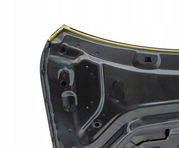 CAPOT VERS BMW X1 U11 2022- 41009629102