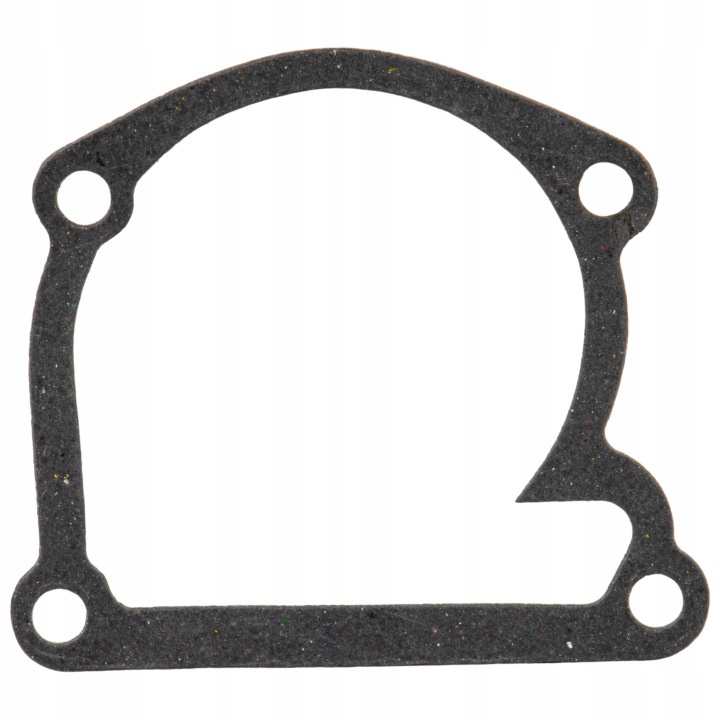 POMPE À EAU ZETOR 5911 6911 6011 6045 7011 7045 69010651