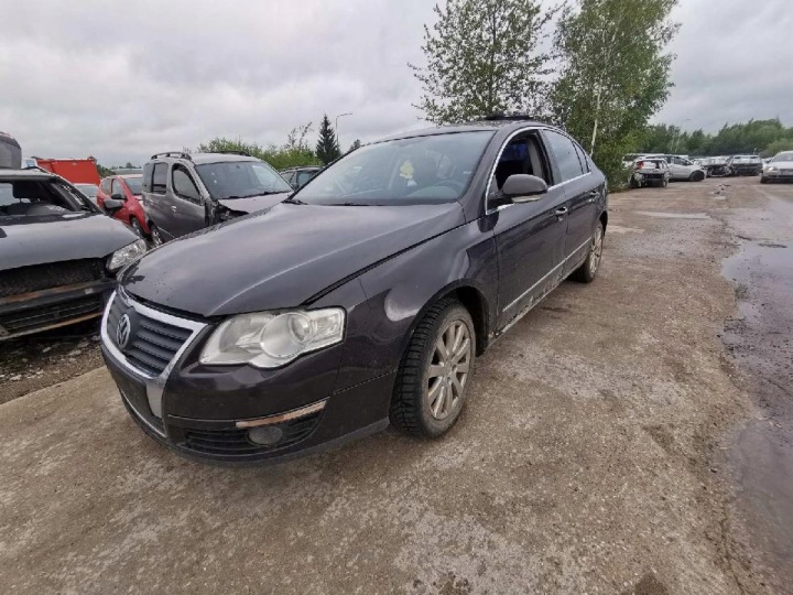 VOLKSWAGEN PASSAT CHARNIÈRE ARRIÈRE PORTES ARRIÈRE 2006 1.9L