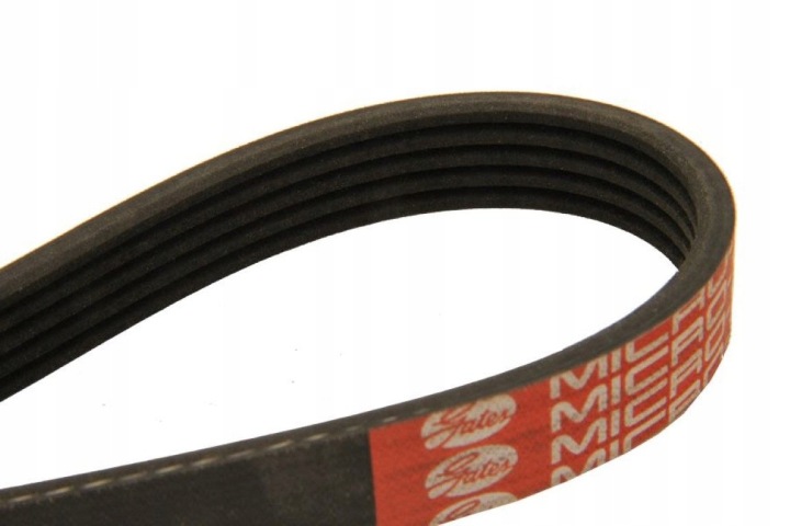 DAYCO 5PK775 COURROIE MULTICÔTES