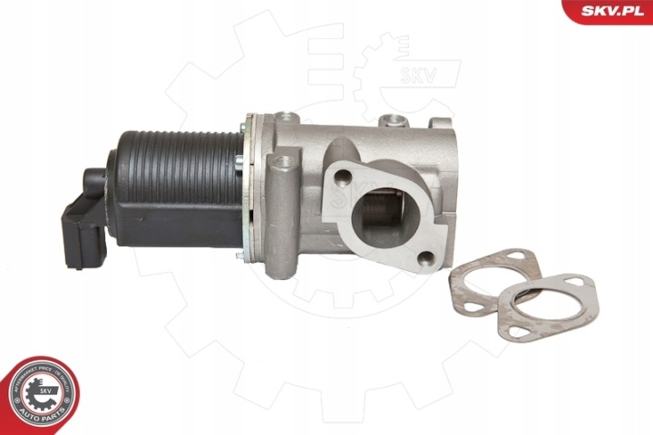 SKV VANNE EGR FIAT 1.9 JTD