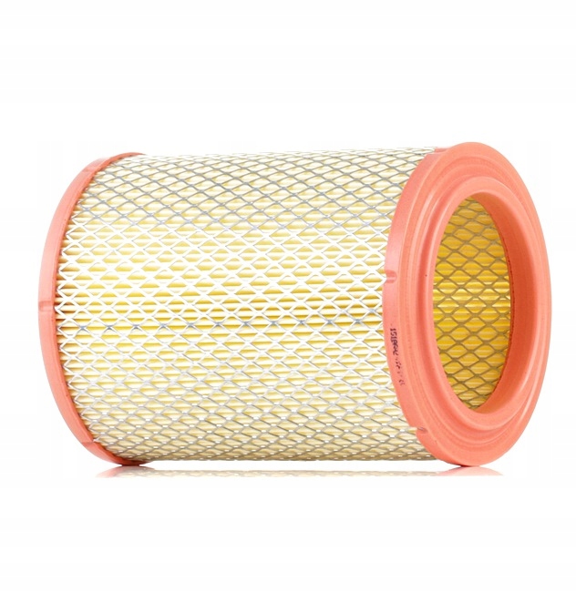 RIDEX 8A0312 FILTRE AIR VERS RENAULT SUPER 5 (B/C40) 5 (122) 11 (B/C37)